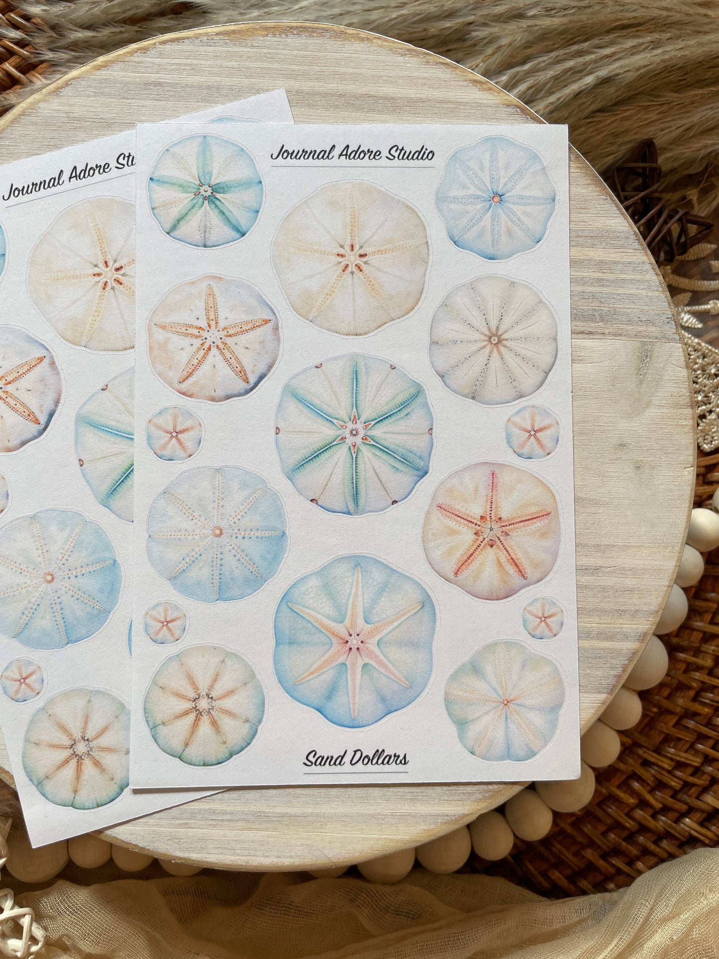 Sand Dollars Sticker Sheet