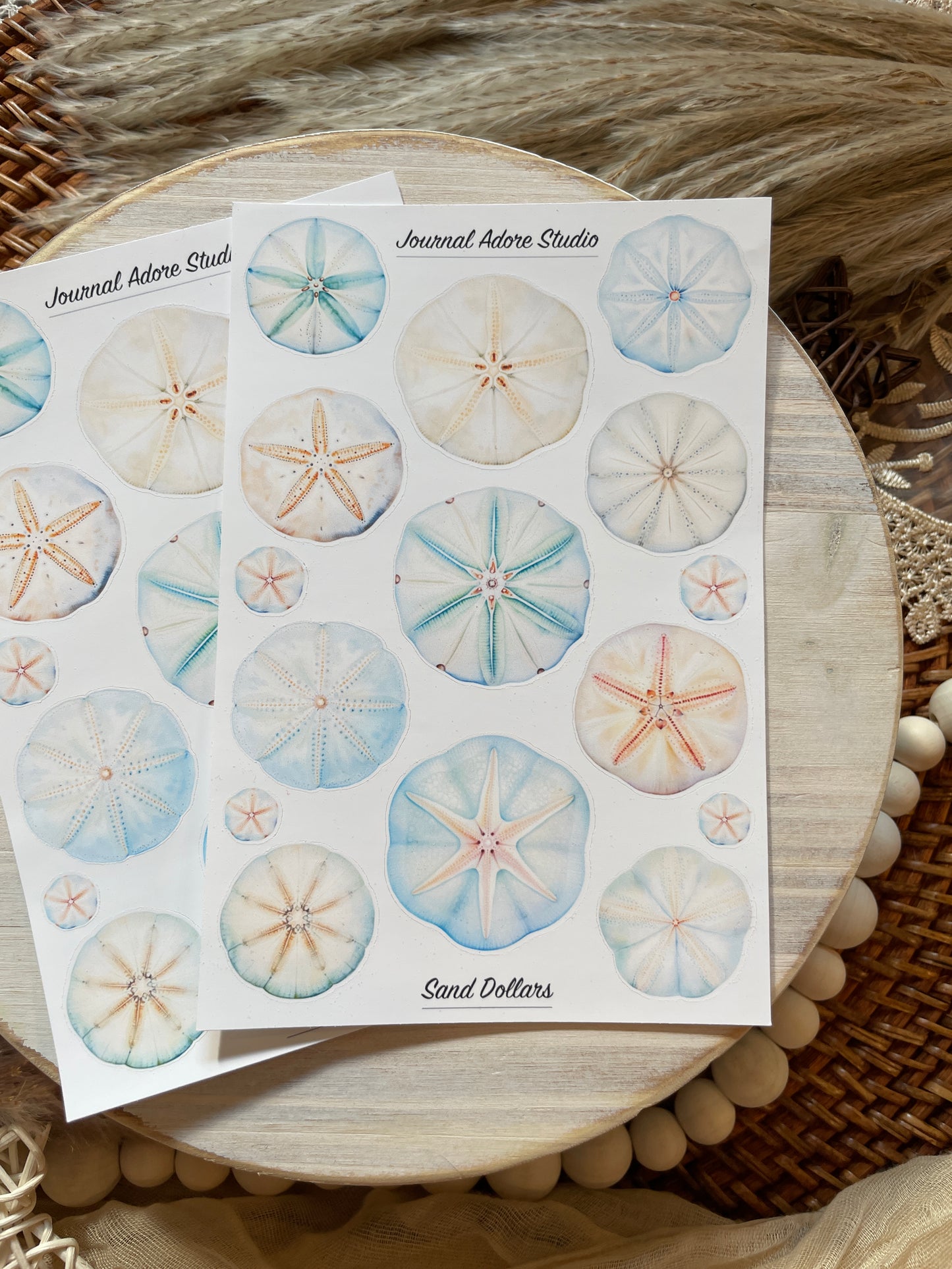 Sand Dollars Sticker Sheet