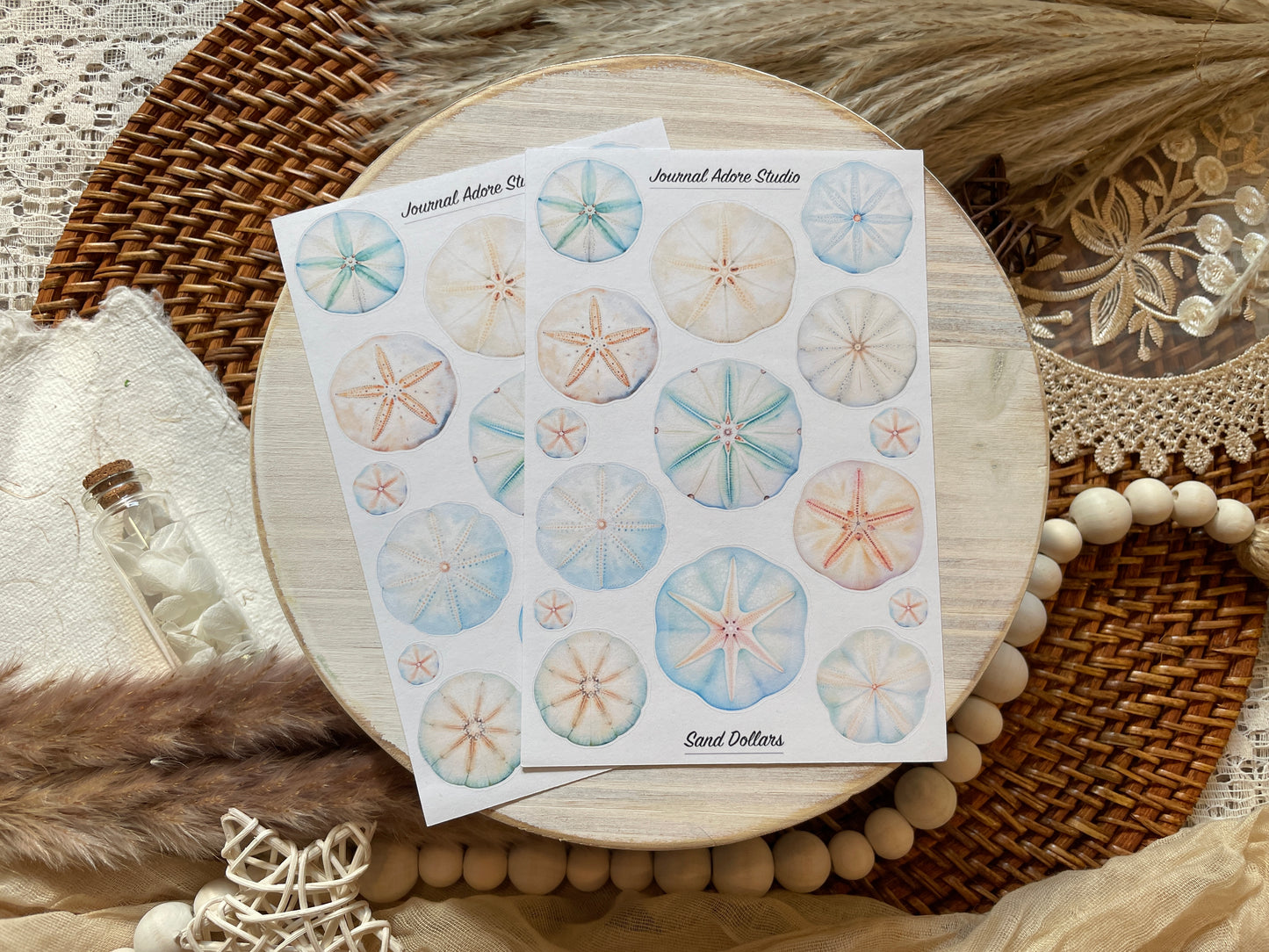 Sand Dollars Sticker Sheet